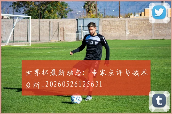 世界杯最新动态：专家点评与战术分析_20260526125631